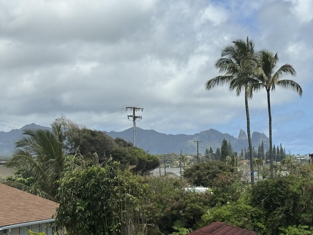 view of mountain feature