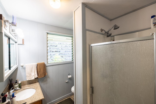 bathroom with vanity, wood walls, toilet, and a shower with shower door