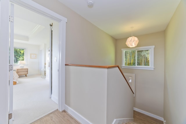 stairway with hardwood / wood-style floors