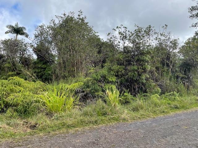 16-1265 Io Kea Rd, Mountain View HI, 96771 land for sale