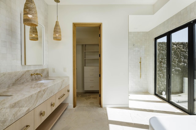 bathroom featuring vanity and walk in shower