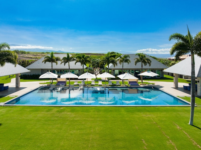 view of swimming pool featuring a lawn