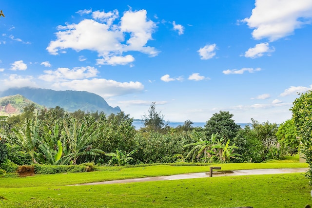 surrounding community with a mountain view and a yard