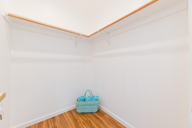 spacious closet with wood-type flooring