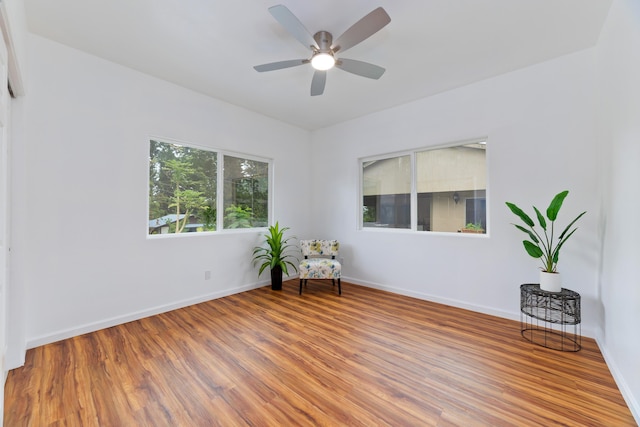 unfurnished room with wood-type flooring and ceiling fan