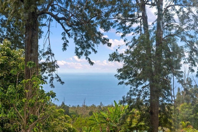 view of landscape featuring a water view