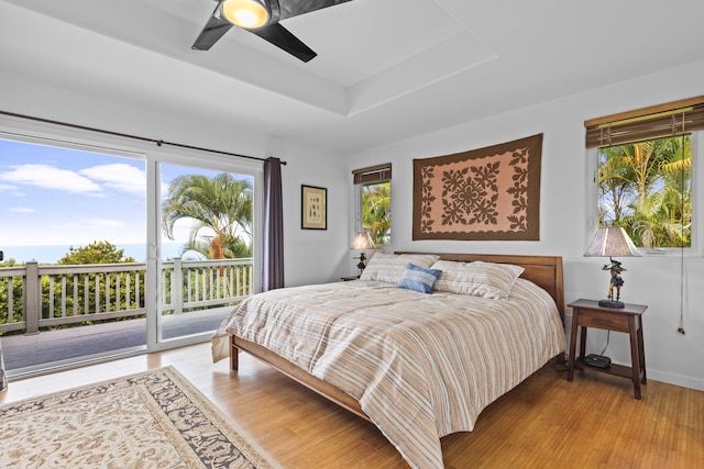 bedroom with multiple windows, wood-type flooring, access to exterior, and a tray ceiling