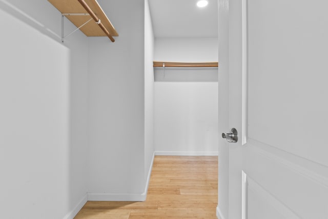 spacious closet with hardwood / wood-style flooring