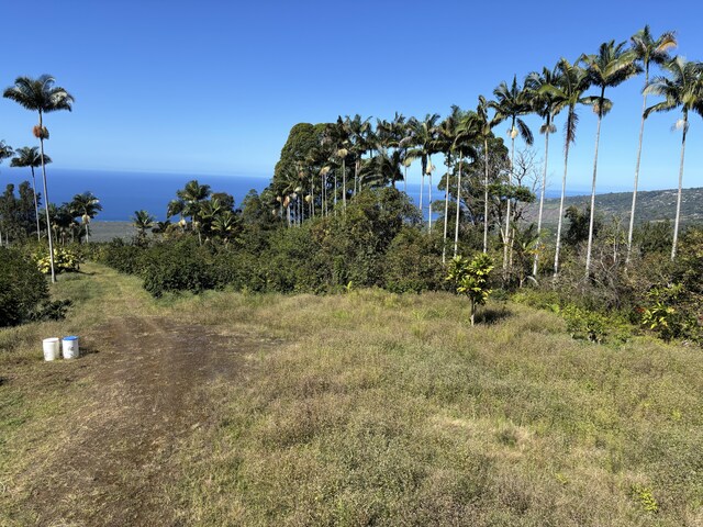 view of landscape with a water view