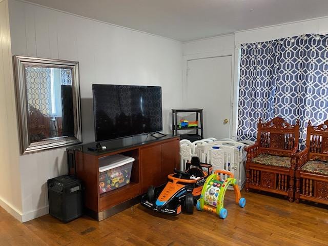 living room with wood-type flooring