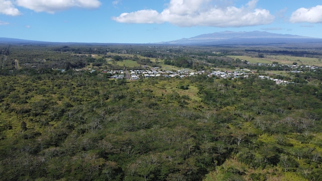 Puainako Ext, Hilo HI, 96720 land for sale