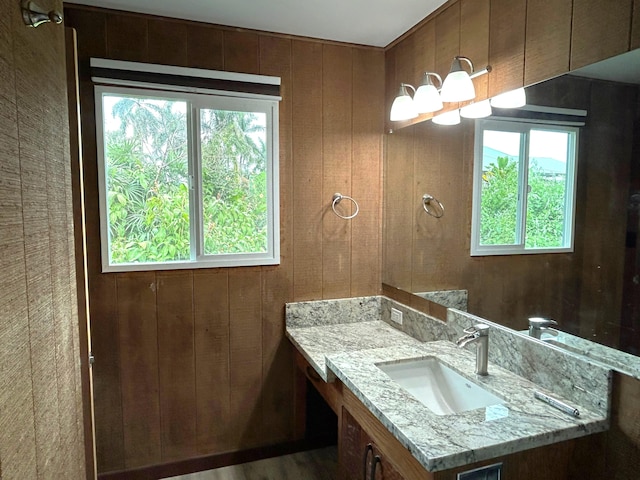 bathroom featuring vanity, plenty of natural light, and wooden walls