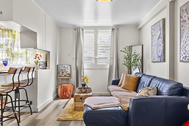 living room with light hardwood / wood-style floors