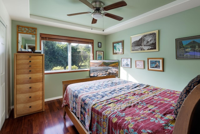 bedroom featuring a tray ceiling, ceiling fan, and dark hardwood / wood-style flooring