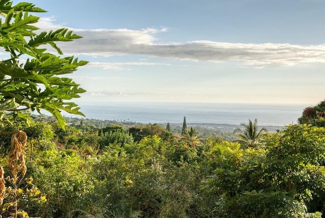 view of nature featuring a water view