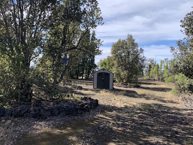 view of yard featuring a shed