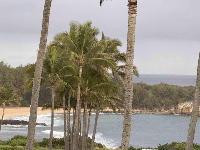 view of water feature with a view of the beach