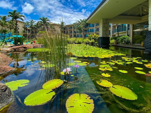 view of property's community with a small pond