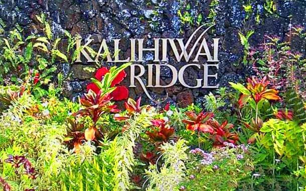 Kahiliholo Rd, Kilauea HI, 96754 land for sale