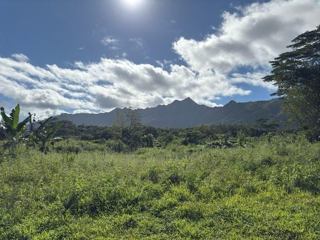 Listing photo 2 for Kahiliholo Rd, Kilauea HI 96754