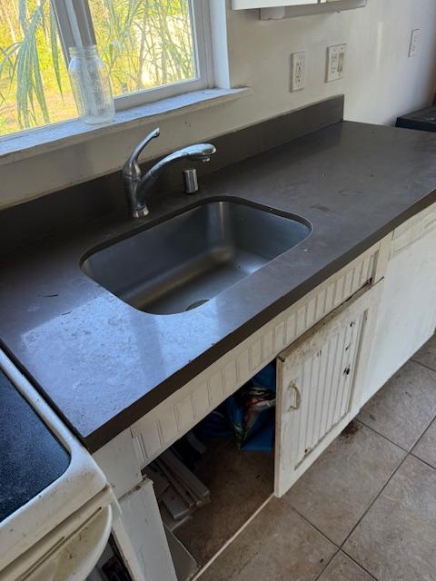 details featuring white cabinets and sink