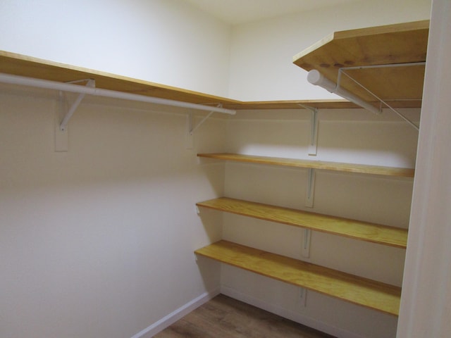 spacious closet featuring hardwood / wood-style floors