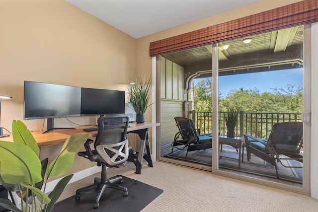 home office featuring carpet flooring