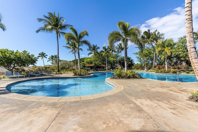 view of swimming pool featuring a patio