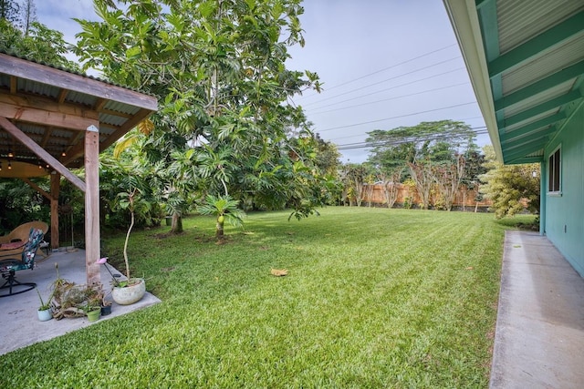 view of yard with a patio area