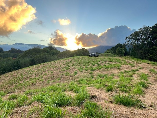 Hauiki Rd, Kapaa HI, 96746 land for sale