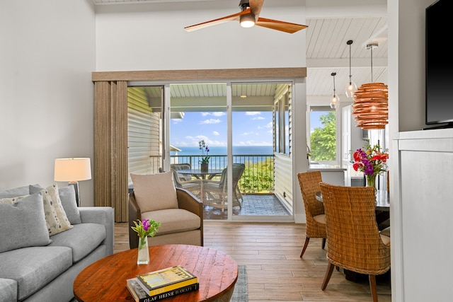 living room with ceiling fan and hardwood / wood-style flooring