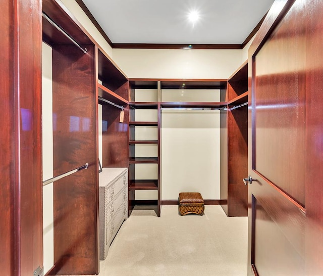 walk in closet with carpet