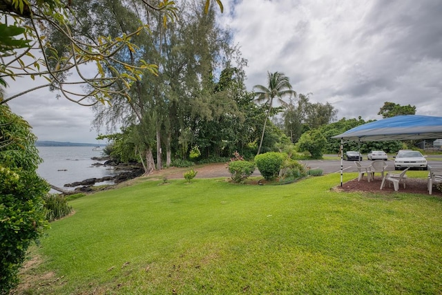 view of yard with a water view