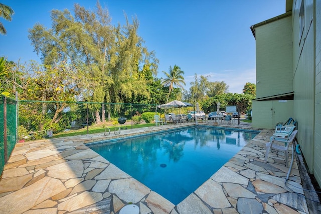 view of pool featuring a patio