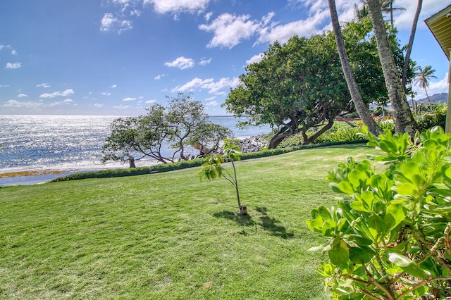 view of yard featuring a water view