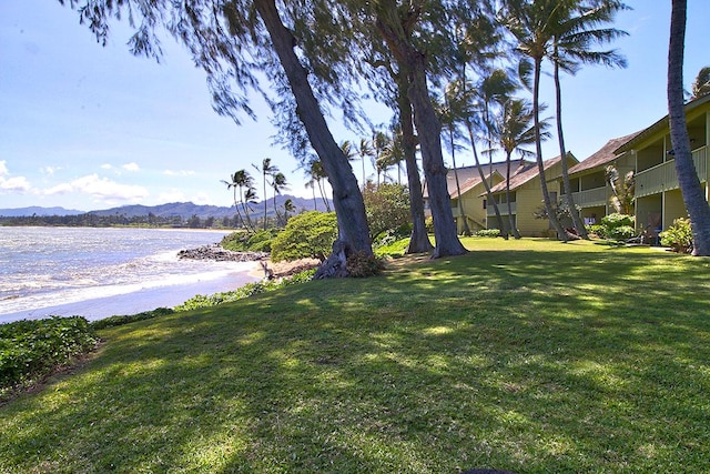 view of yard featuring a water and mountain view