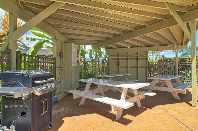 view of patio / terrace featuring grilling area