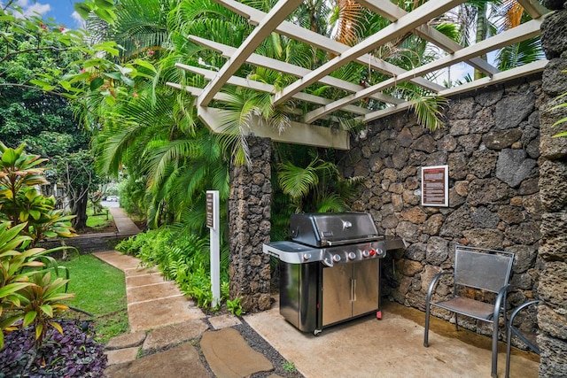 view of patio / terrace featuring a pergola and area for grilling