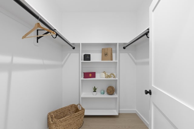 spacious closet with wood-type flooring