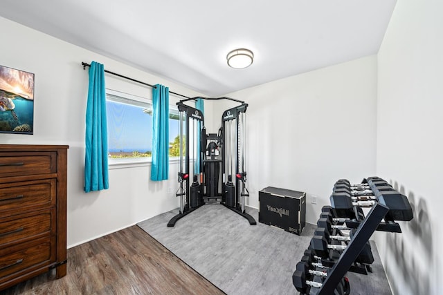 exercise room featuring hardwood / wood-style floors