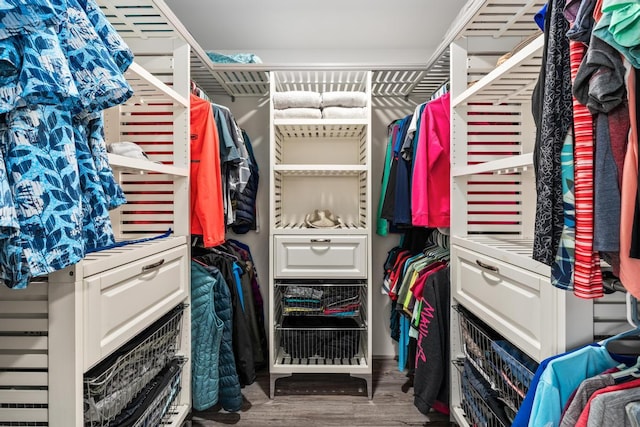 spacious closet with wood-type flooring