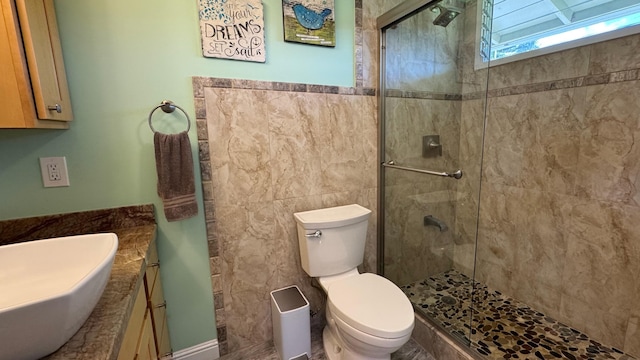 bathroom featuring vanity, toilet, and a shower with door