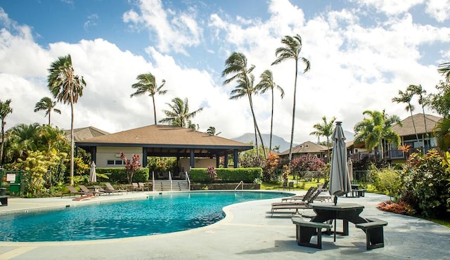 view of swimming pool with a patio