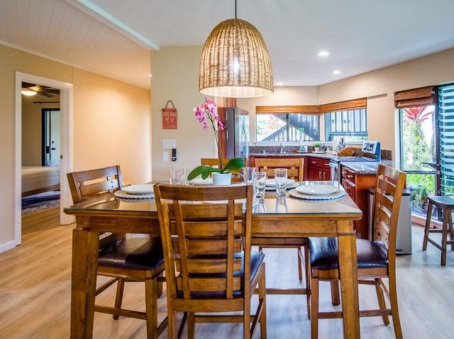 dining area with ceiling fan, sink, and light wood-type flooring