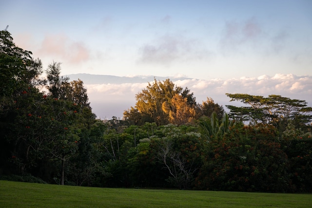 view of yard at dusk