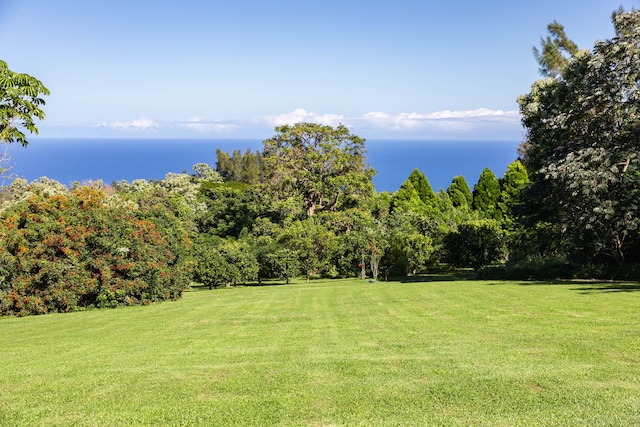 view of yard with a water view