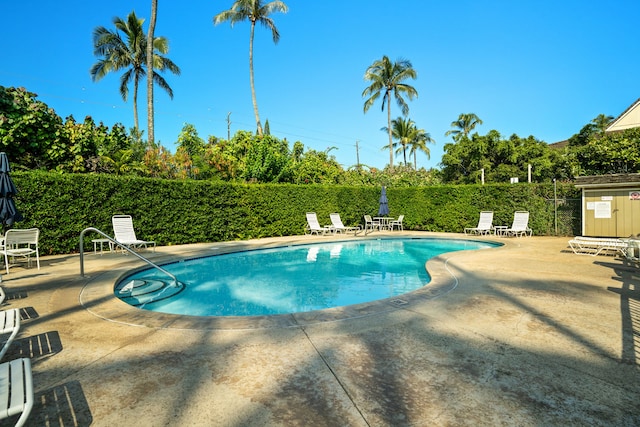 view of pool featuring a patio