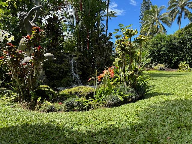 view of local wilderness