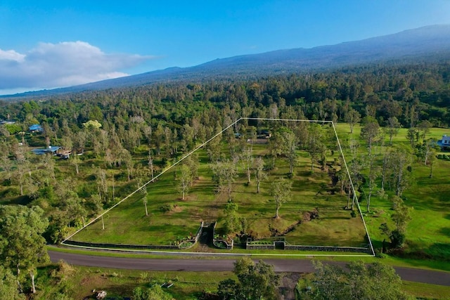 75-1291 Keopu Mauka Dr, Holualoa HI, 96725 land for sale