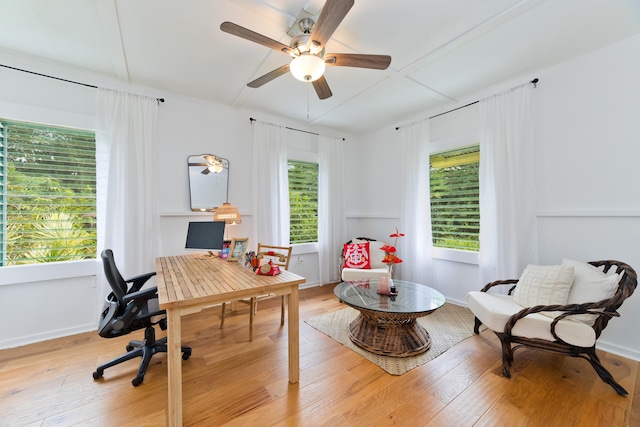 office space featuring light hardwood / wood-style floors and ceiling fan